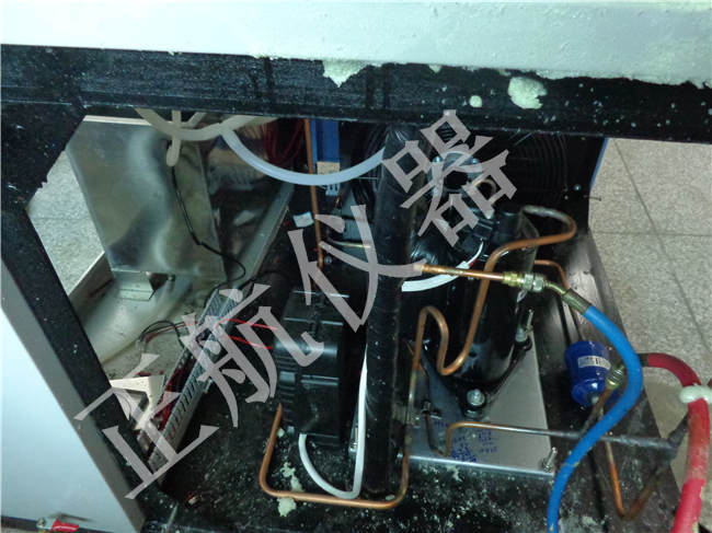 高低温草莓视频成人网站图